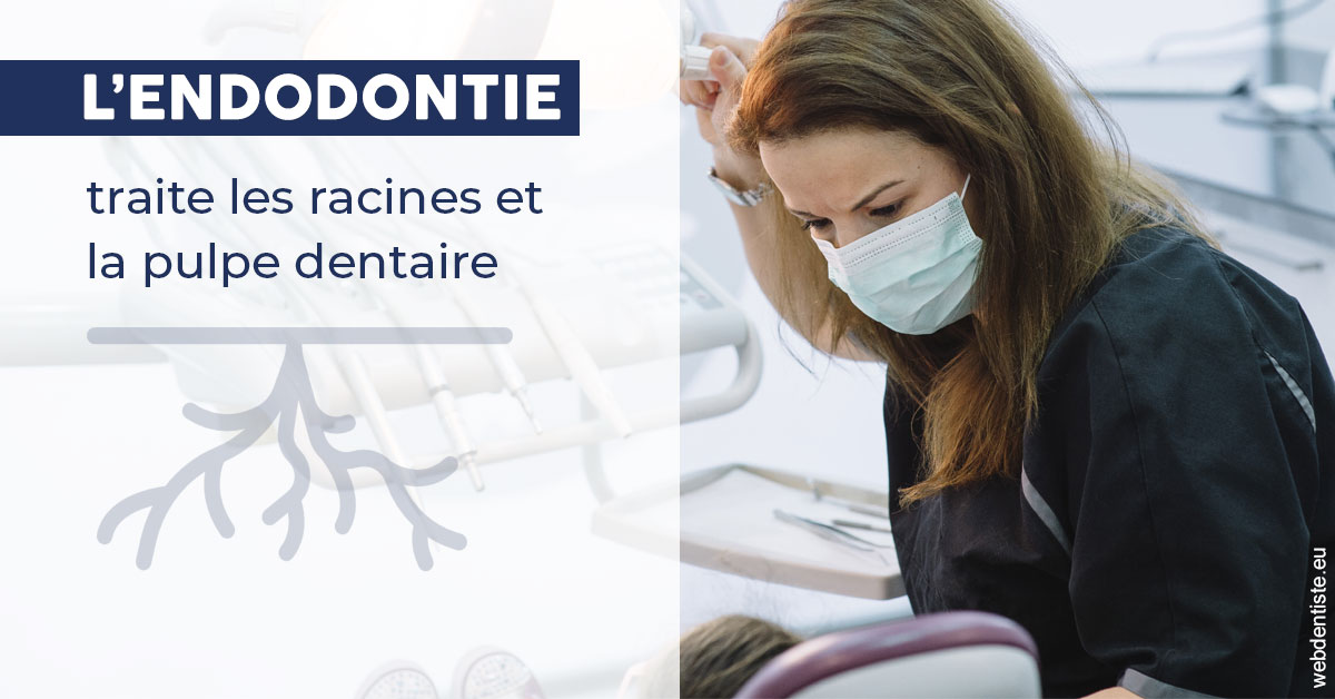 https://dr-durant-valery.chirurgiens-dentistes.fr/L'endodontie 1