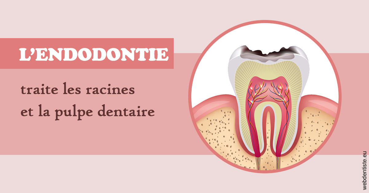 https://dr-durant-valery.chirurgiens-dentistes.fr/L'endodontie 2