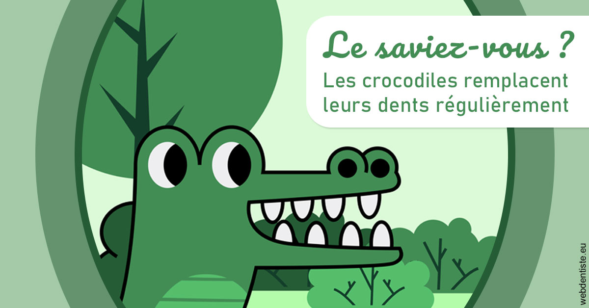https://dr-durant-valery.chirurgiens-dentistes.fr/Crocodiles 2